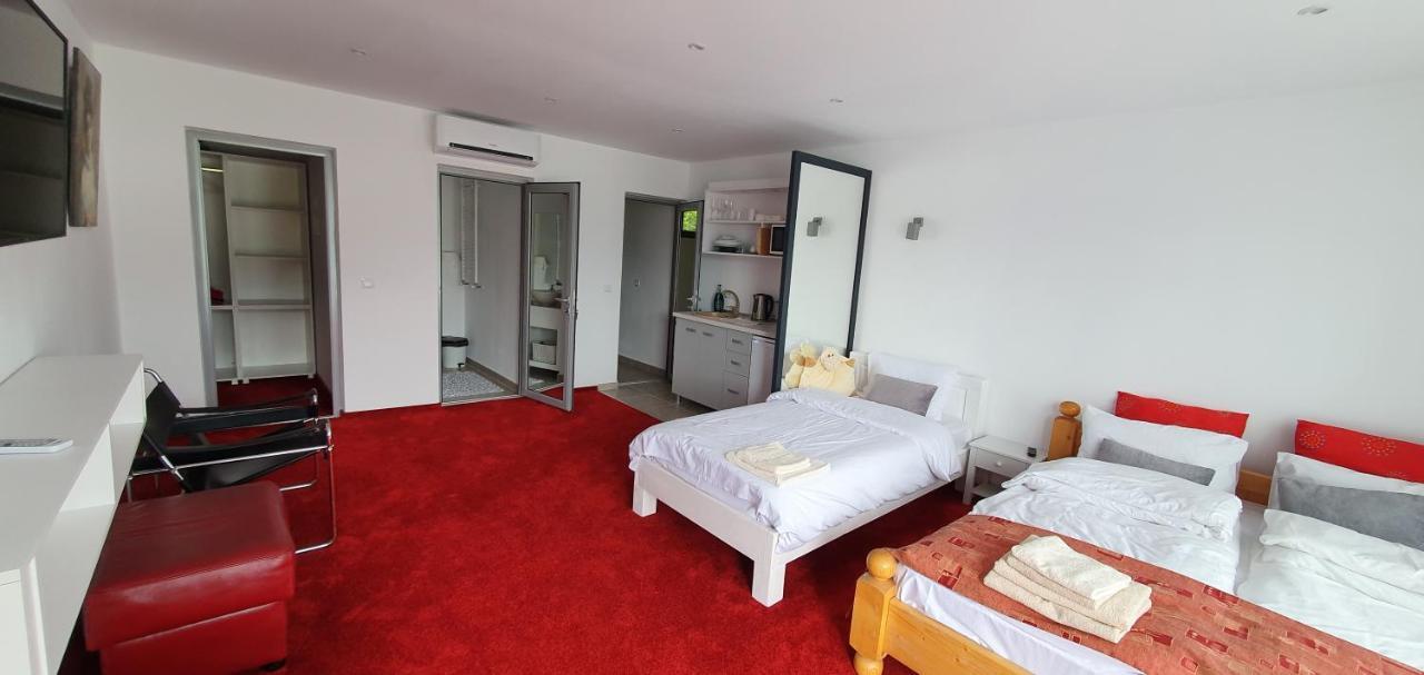 Modern Rooms Colibiţa 외부 사진